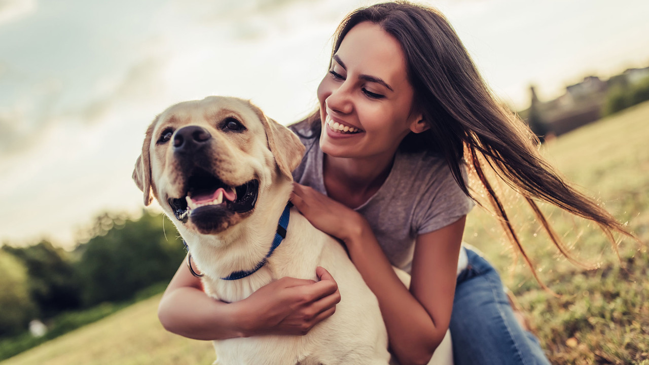 Köpeklerin gizli yeteneği: Yüzümüzdeki duyguları nasıl anlıyorlar?