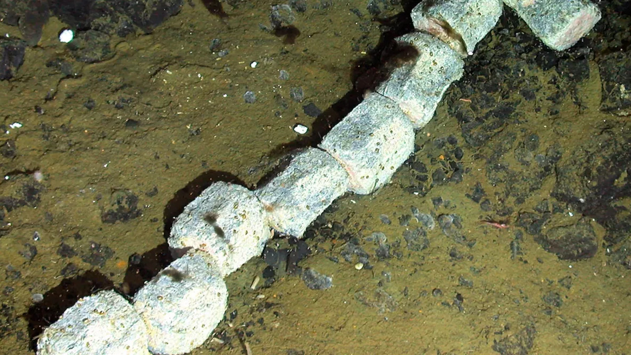 Okyanusun dibindeki büyük ikramiye: Kemik yiyen zombiler bulundu