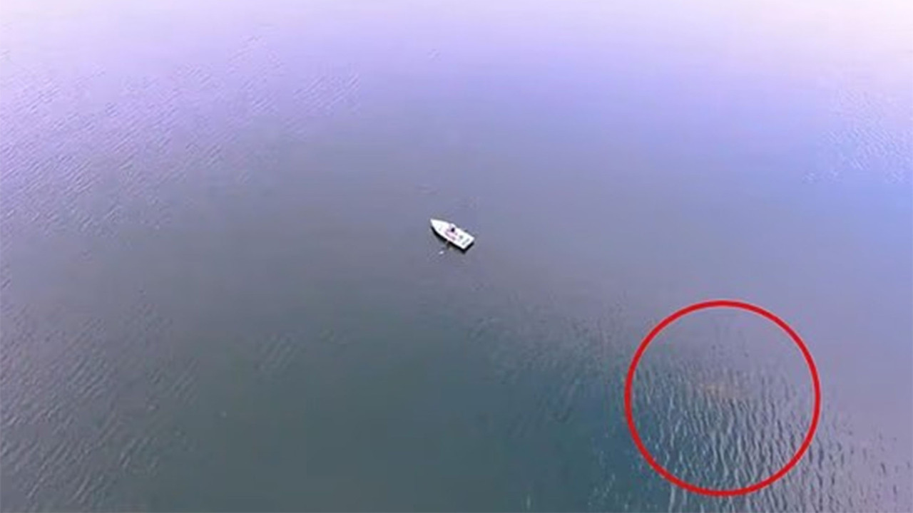 Suların altındaki iki asırlık sır: Amerika'nın Nessie'si kameraya yakalandı - Zolpix Blog